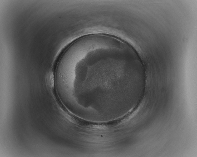 X0000114721509200910211337