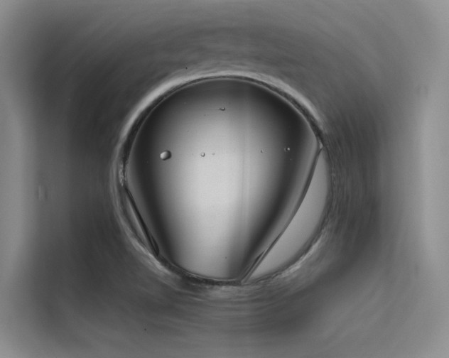 X0000114721510200910211337