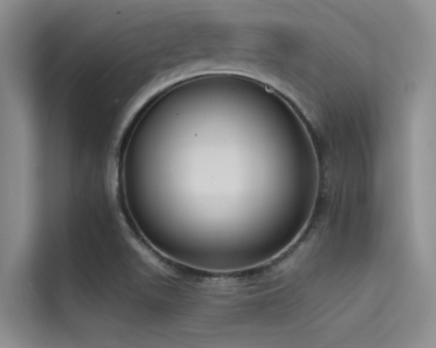 X0000114721511200910211337