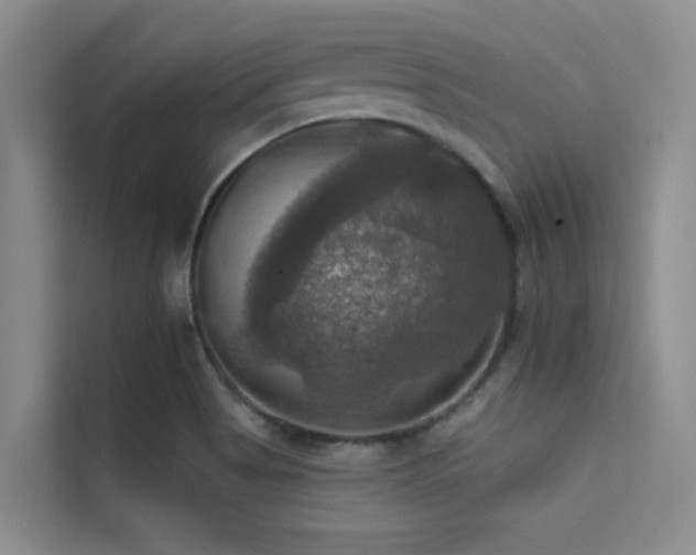 X0000114721513200910211337