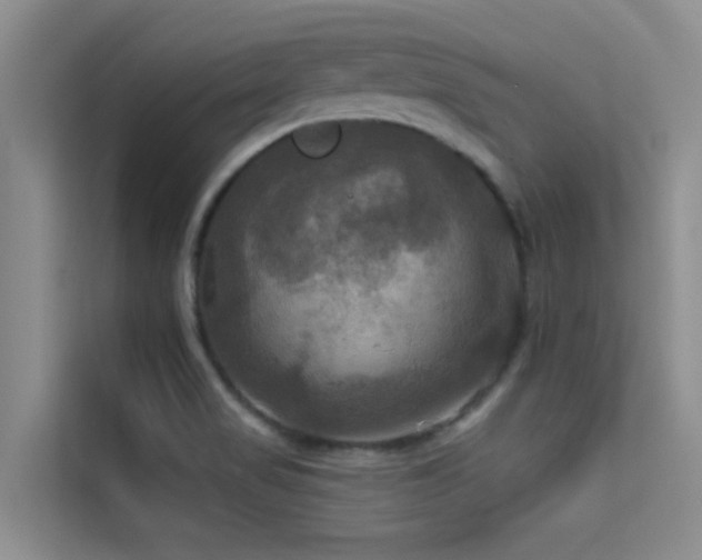 X0000114721517200910211337