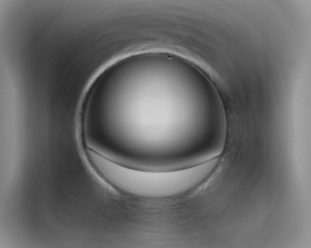 X0000114721518200910211337