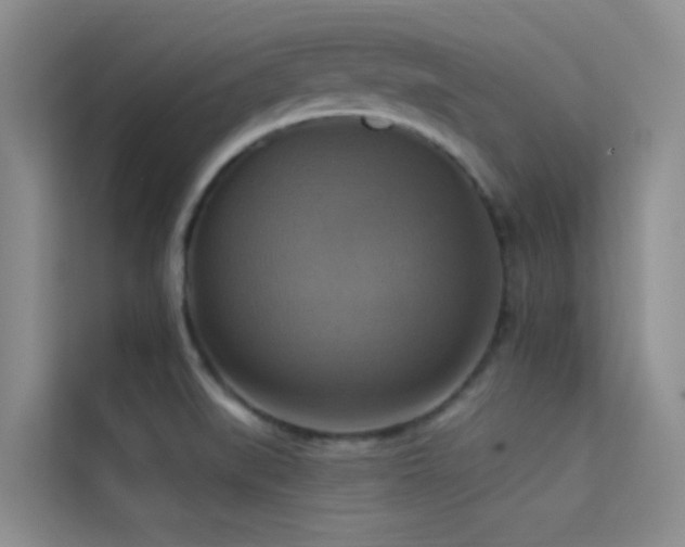 X0000114721519200910211337