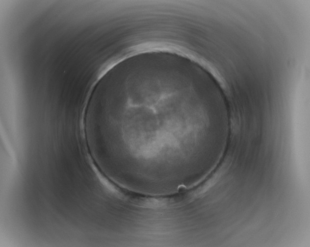 X0000114721521200910211337