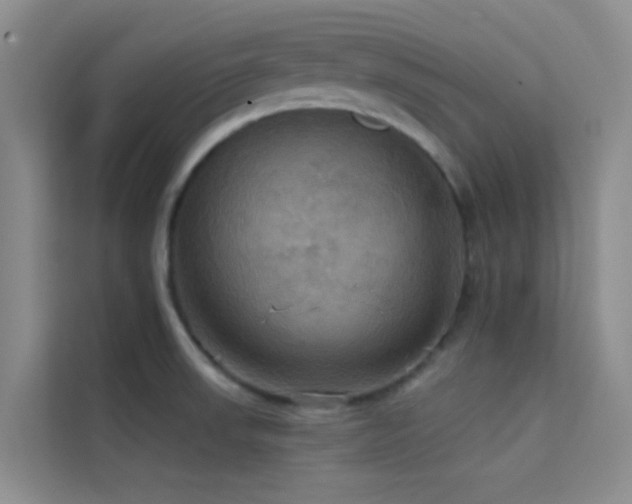 X0000114721523200910211337