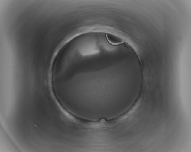 X0000114721525200910211337