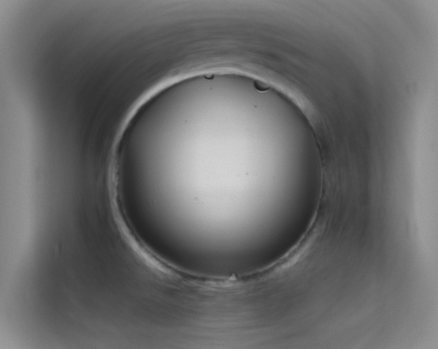 X0000114721526200910211337