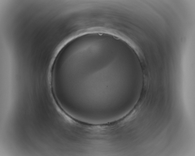 X0000114721527200910211337