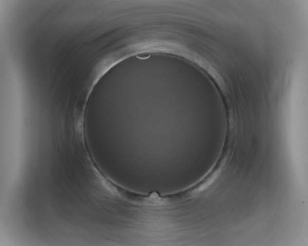 X0000114721529200910211337