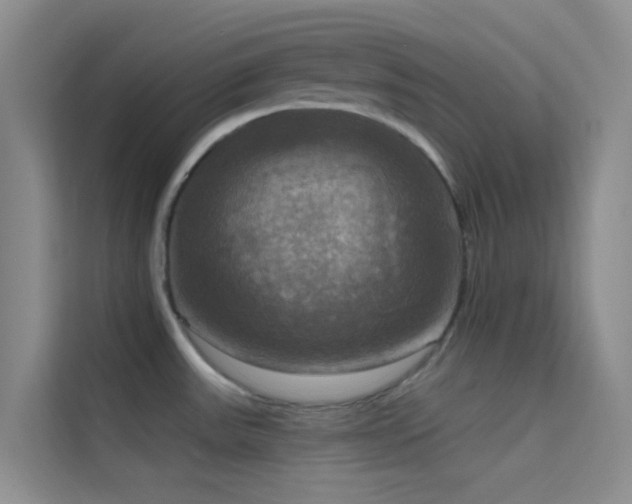 X0000114721531200910211337