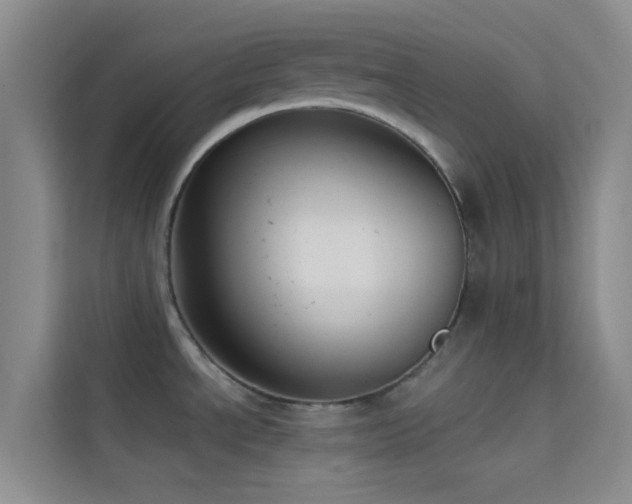 X0000114721534200910211337