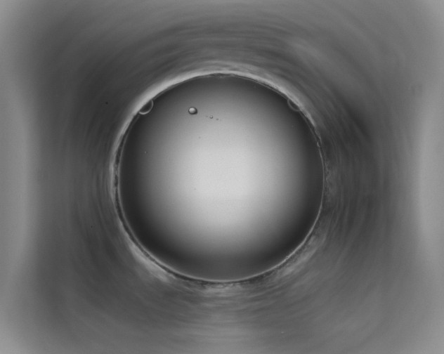 X0000114721535200910211337