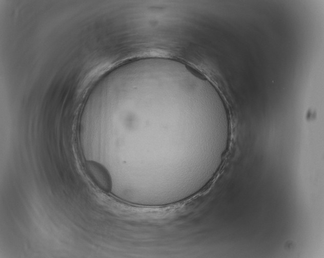 X0000114720001200911121743