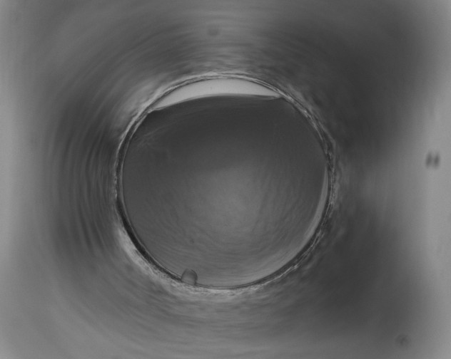 X0000114720002200911121743