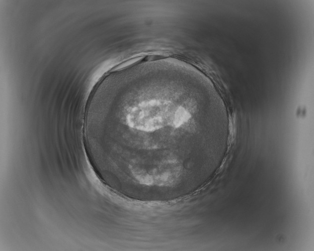 X0000114720003200911121743