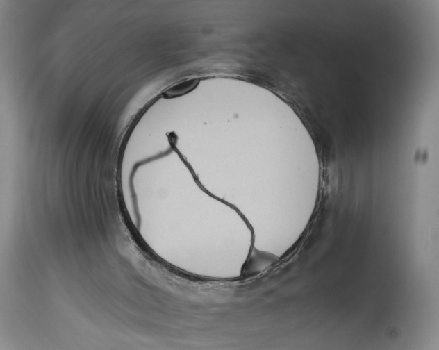 X0000114720004200911121742