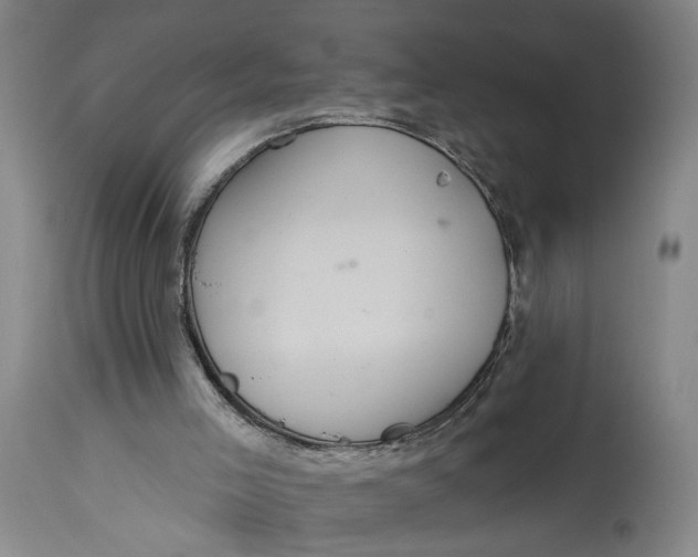 X0000114720005200911121742