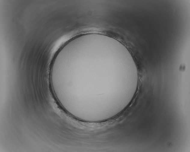 X0000114720006200911121742