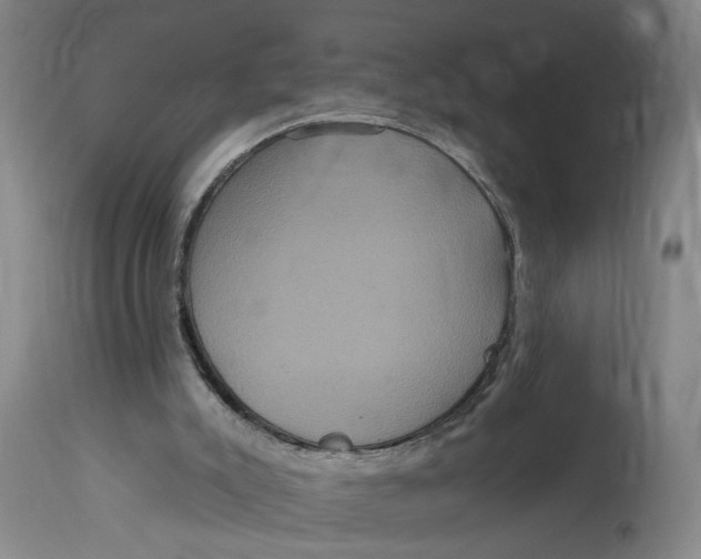 X0000114720007200911121742