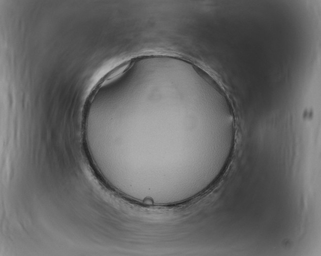 X0000114720008200911121742