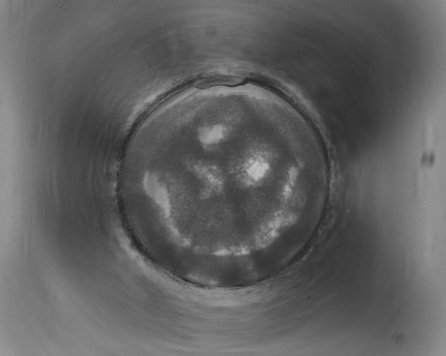 X0000114720010200911121742