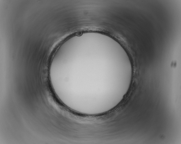 X0000114720012200911121742