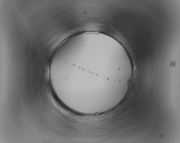 X0000114720013200911121742