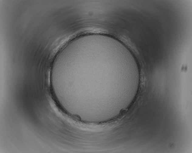 X0000114720014200911121742