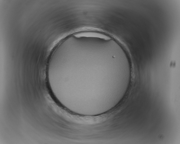 X0000114720015200911121742