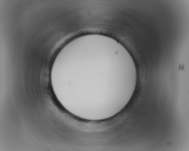 X0000114720016200911121742