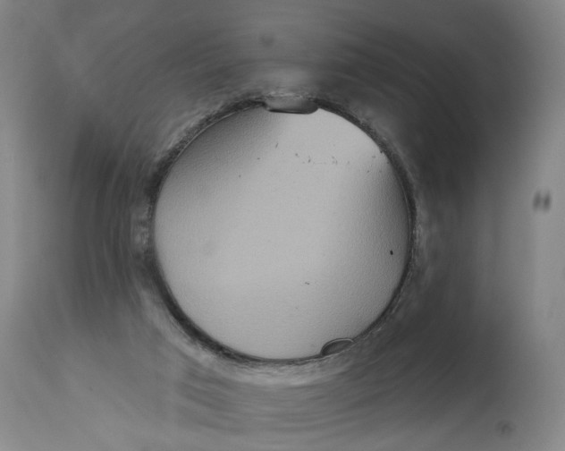 X0000114720017200911121742