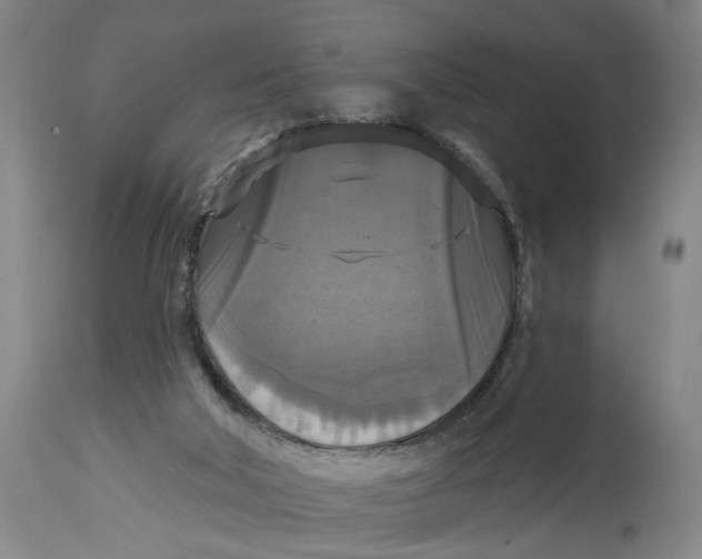 X0000114720018200911121742