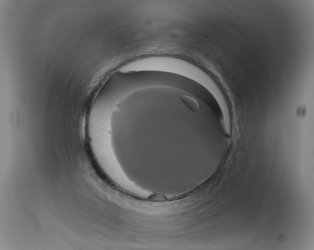 X0000114720019200911121742