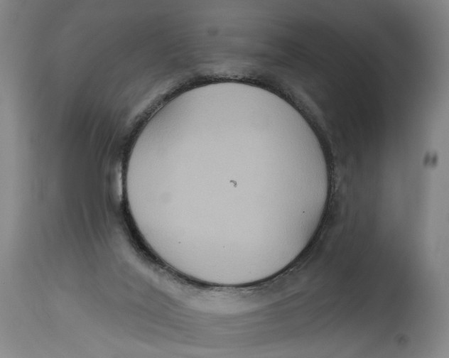 X0000114720020200911121742