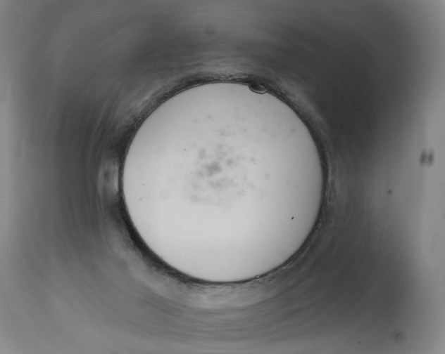 X0000114720021200911121742