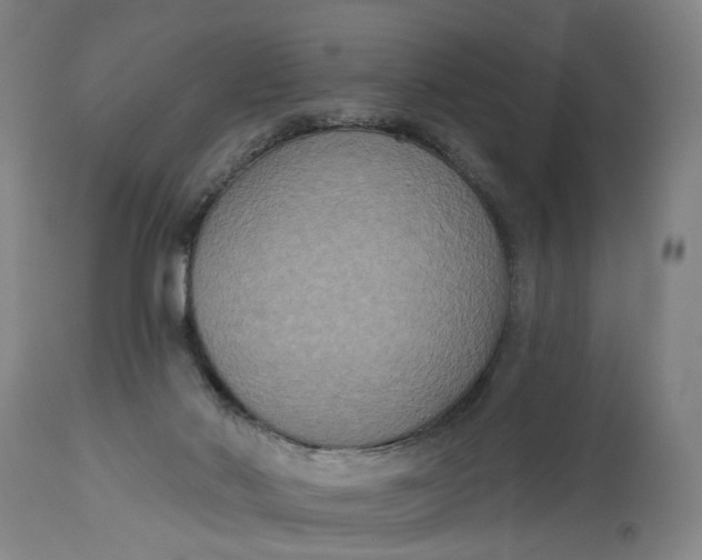 X0000114720022200911121742