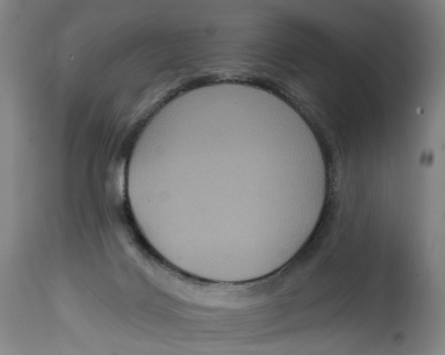 X0000114720028200911121742