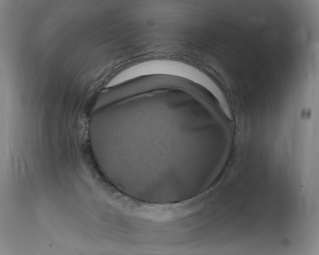 X0000114720029200911121742