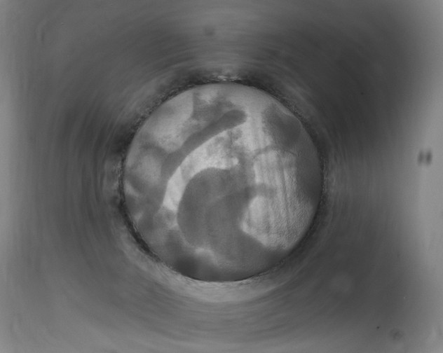 X0000114720030200911121742