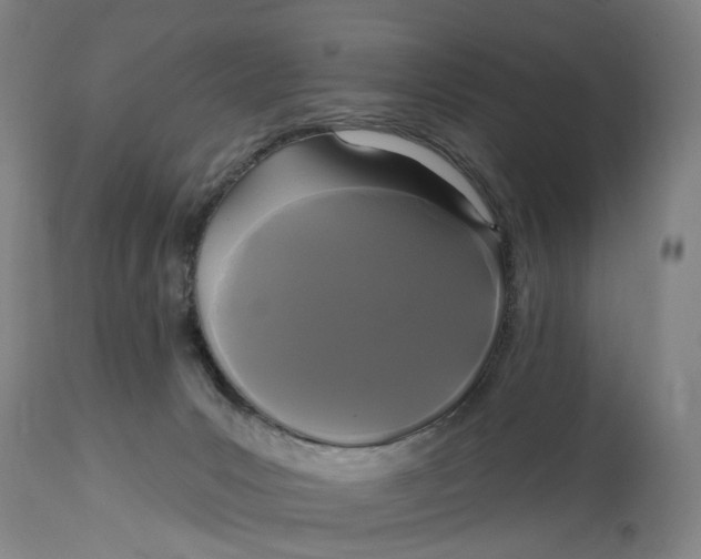 X0000114720031200911121742