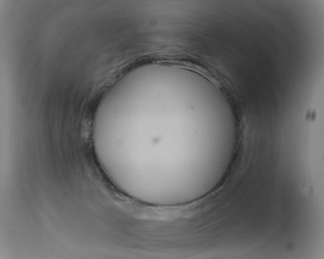 X0000114720033200911121742