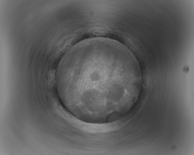 X0000114720034200911121742