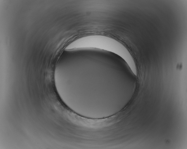 X0000114720035200911121742