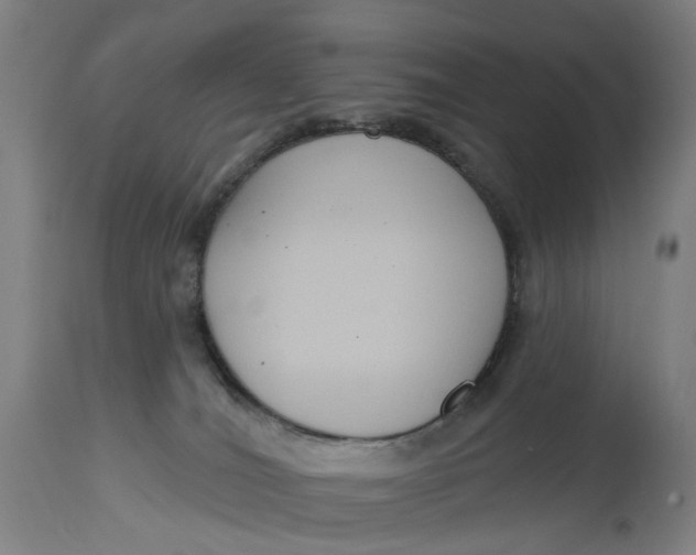 X0000114720036200911121742