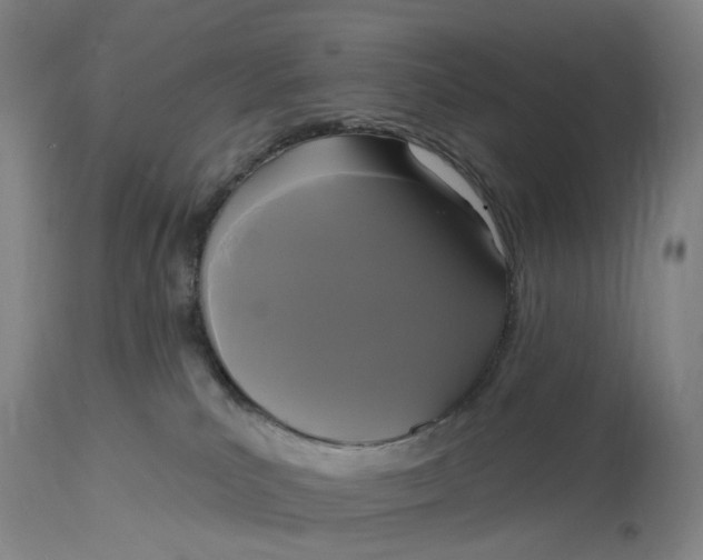 X0000114720039200911121742