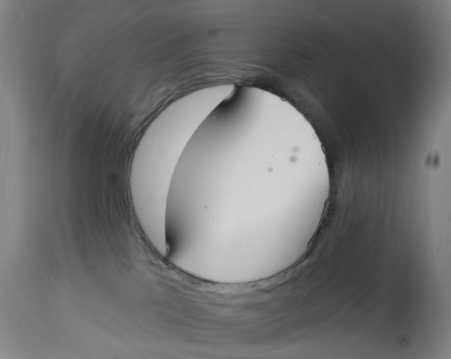 X0000114720041200911121742