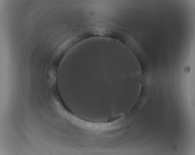 X0000114720043200911121742