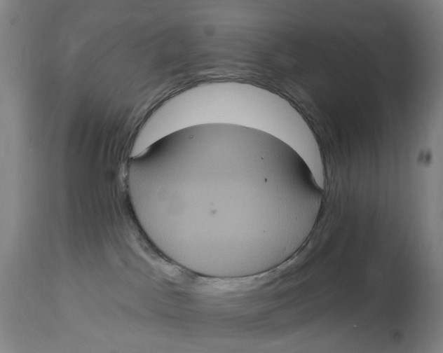 X0000114720045200911121742