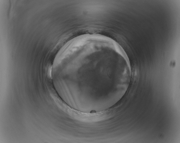 X0000114720046200911121742