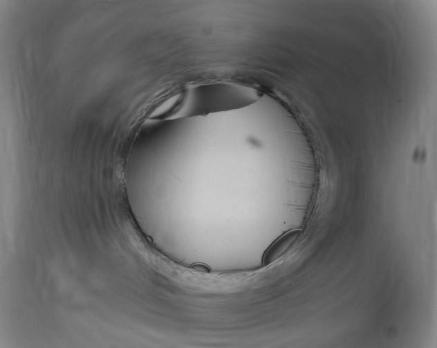 X0000114720048200911121742